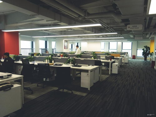 看準(zhǔn)網(wǎng)在計(jì)算機(jī)技術(shù)推廣中的戰(zhàn)略布局與市場(chǎng)影響