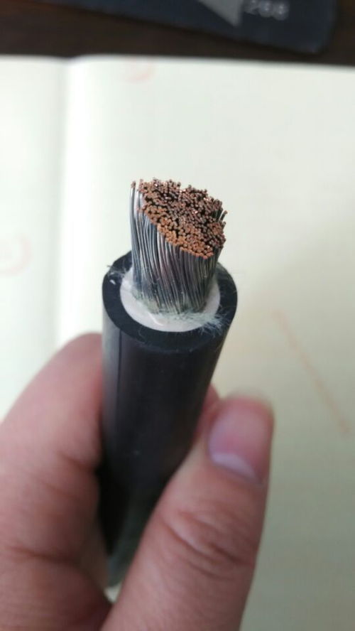 聚焦電力建設 1kV鋁芯架空線及特種電纜的技術發展與市場動態